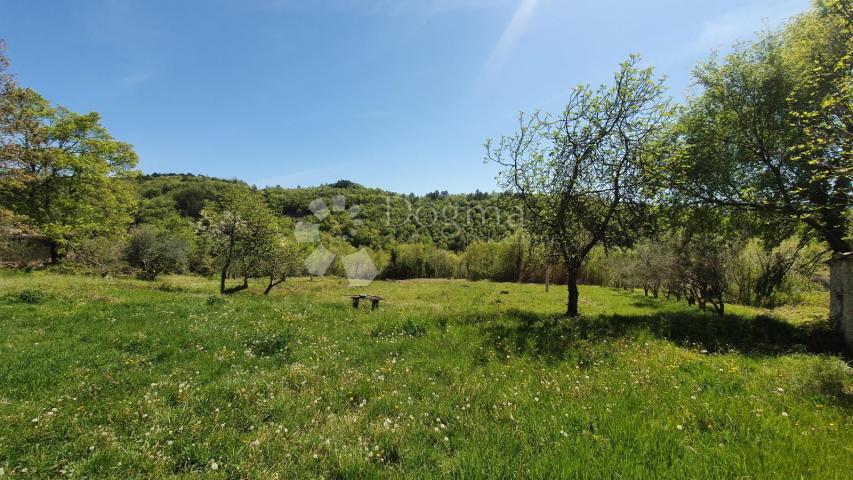 Haus Kosoriga, Buzet, 3.718m2