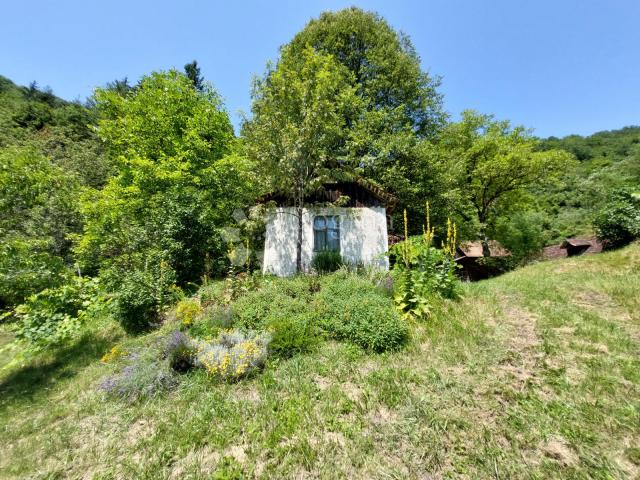 Žumberak, prostrano samoodrživo seosko imanje, 34000m2