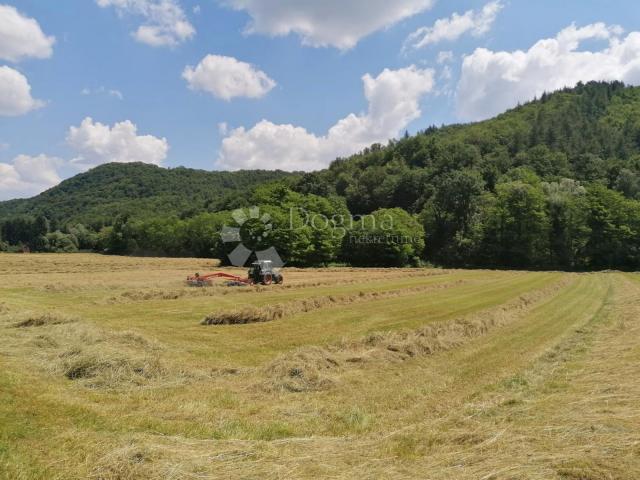 Žumberak, prostrano samoodrživo seosko imanje, 34000m2