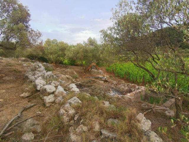 Korčula - Čara - građevinsko zemljište 1500m2