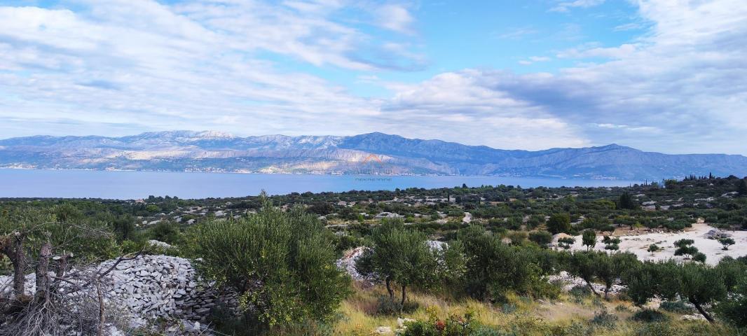 OTOK BRAČ, ŠKRIP,  11 PARCELA