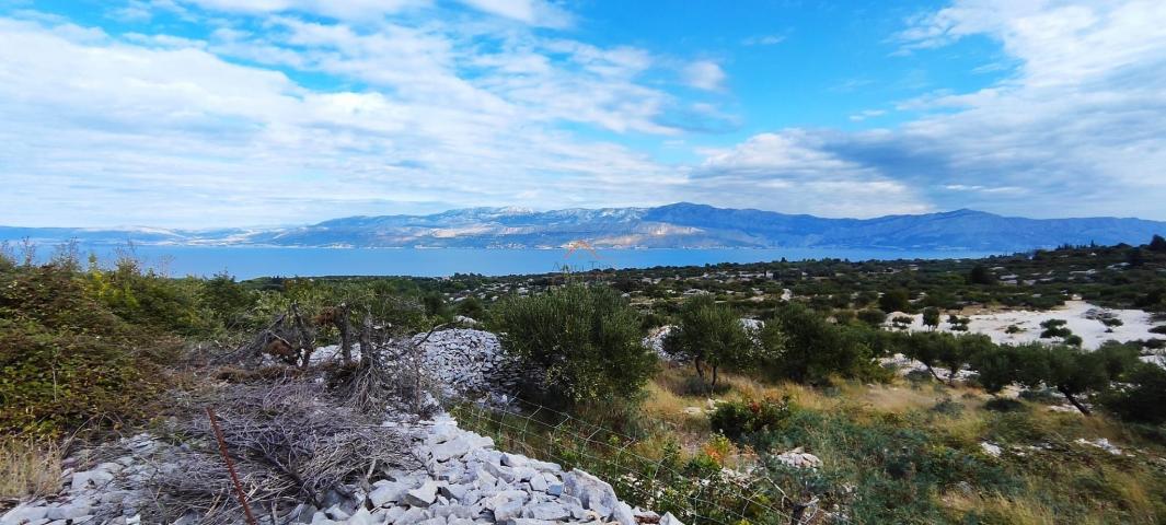 OTOK BRAČ, ŠKRIP,  11 PARCELA