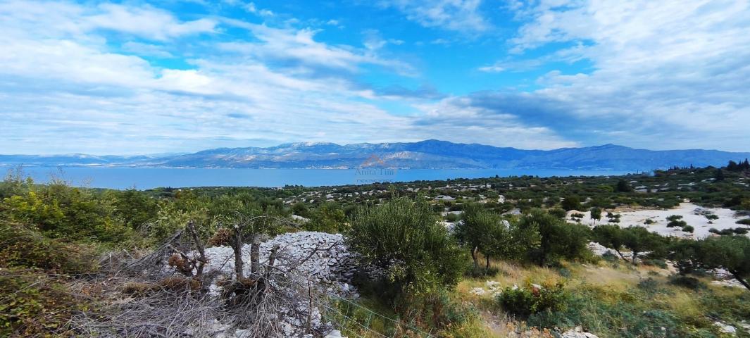 OTOK BRAČ, ŠKRIP,  11 PARCELA