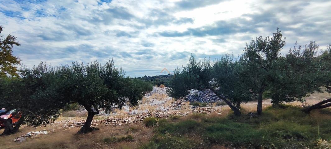 OTOK BRAČ, ŠKRIP,  11 PARCELA