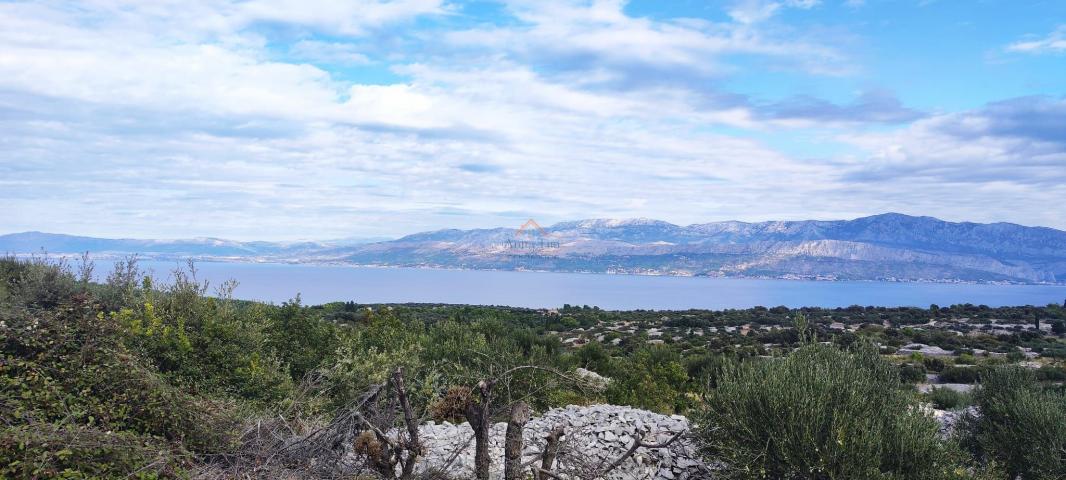 OTOK BRAČ, ŠKRIP,  11 PARCELA