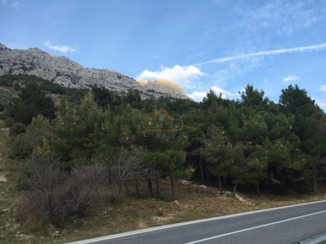 Prodaja, Plac, 800m2 , Marušići