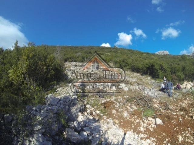 Prodaja, Plac, 11400m2 , Stanković