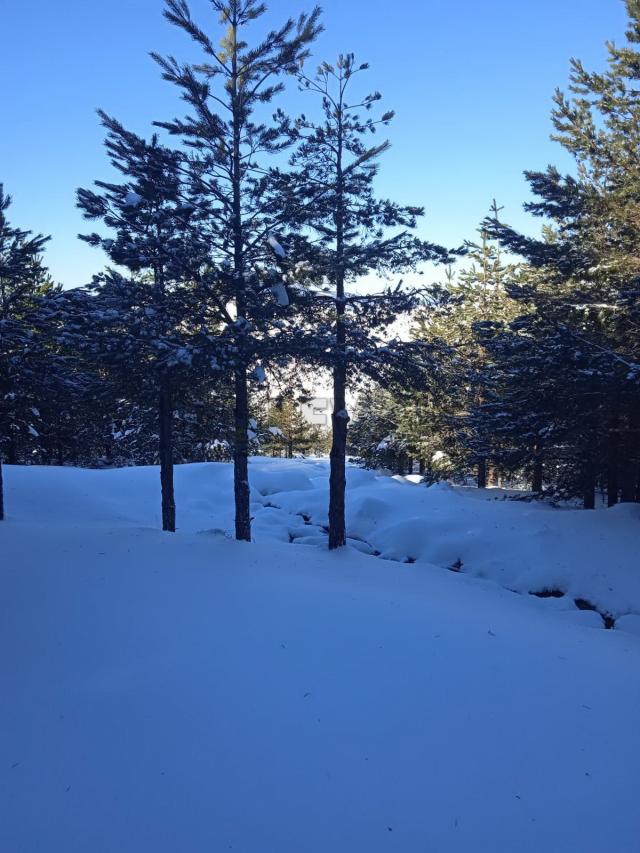 PLAC ČIGOTA ZLATIBOR !!!