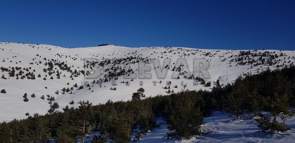 PLAC ČIGOTA ZLATIBOR !!!