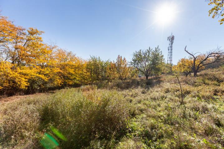 Veliki  plac  za  gradnju - za  investitore ,  Palilula, odlična  lokacija  6990 m2, 