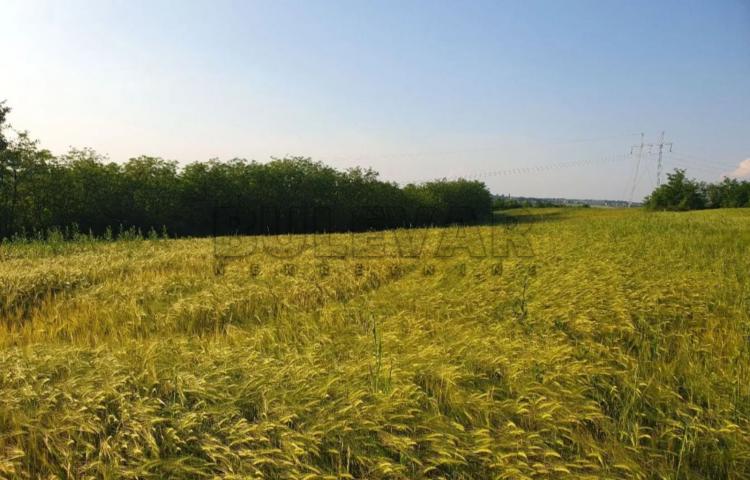 Beograd, Velika Moštanica (Čukarica)  –Poljoprivredno zemljište 10073 m2