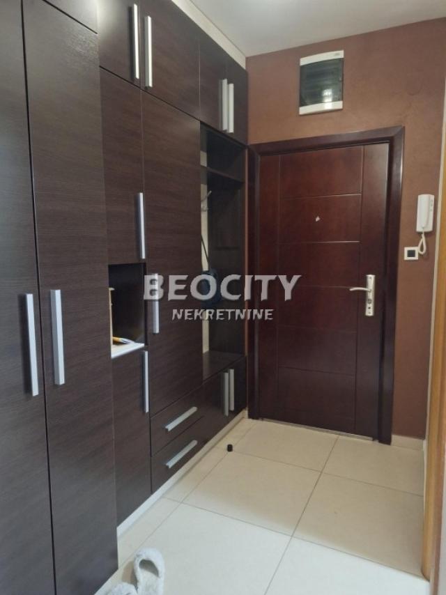 Novi Sad, Nova Detelinara, Branka Bajića, 2. 0, 48m2, 650EUR