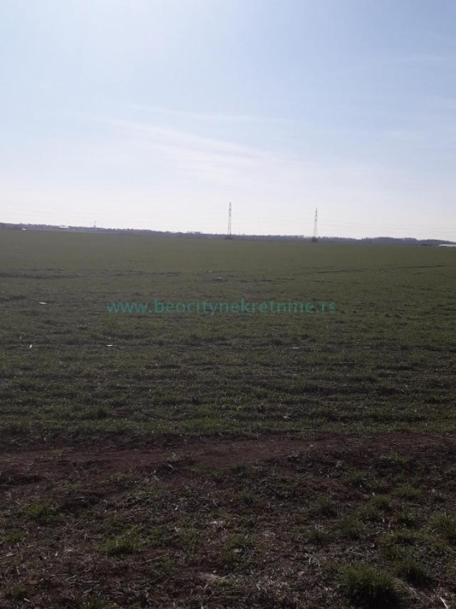 Zemun, Plavi horizonti, Jovana Boškovića, 100a, 900000EUR