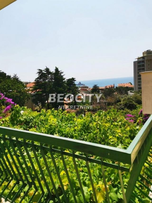 Petrovac, Centar, Stupovi, 6. 0, 181m2, 450000EUR