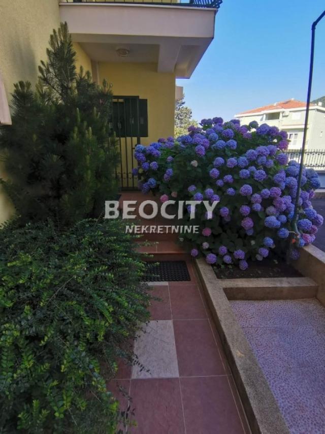 Petrovac, Centar, Stupovi, 6. 0, 181m2, 450000EUR