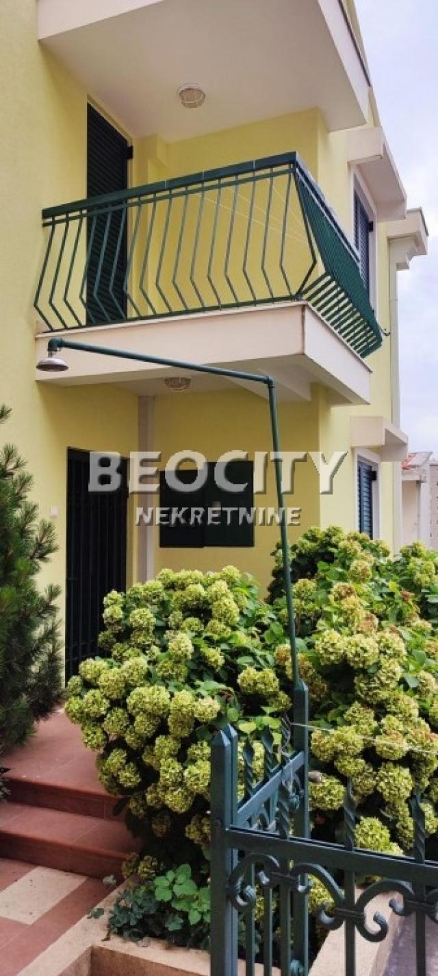 Petrovac, Centar, Stupovi, 6. 0, 181m2, 450000EUR