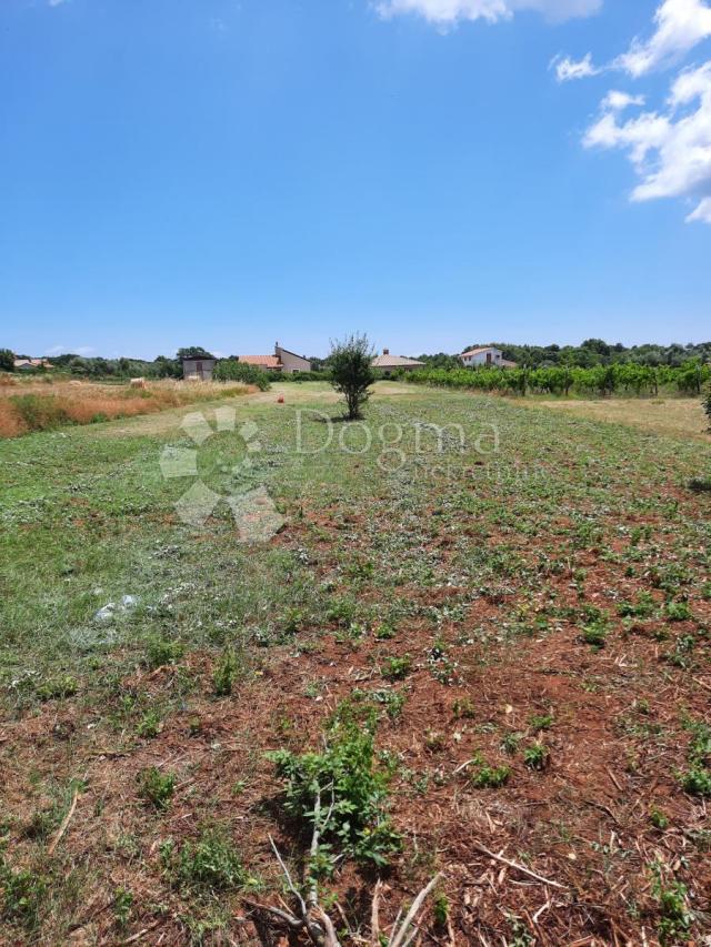 Land Muntić, Ližnjan, 904m2