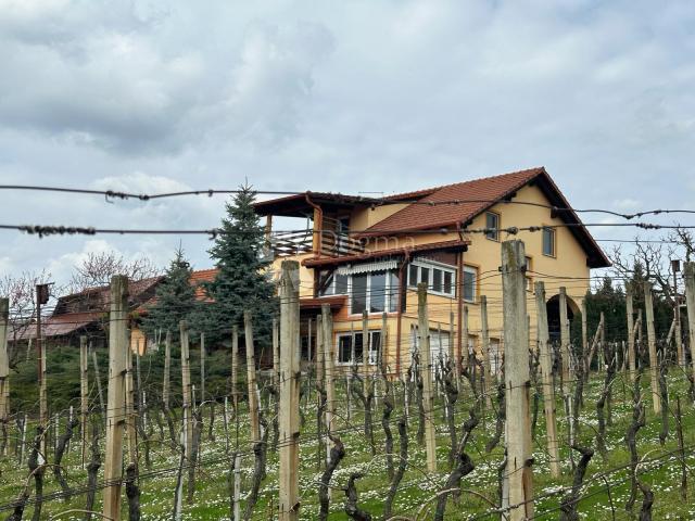 House Varaždin Breg, Gornji Kneginec, 246m2