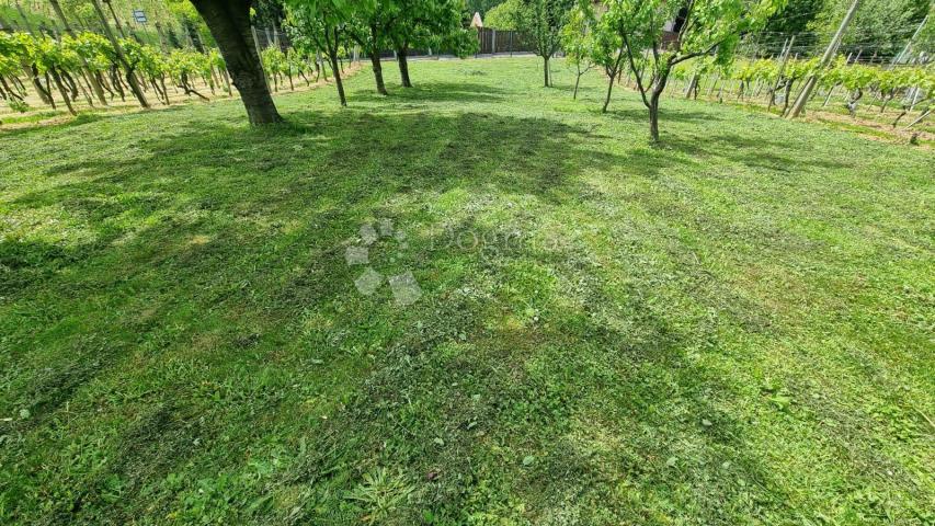 Kuća s bajkovitim pogledom