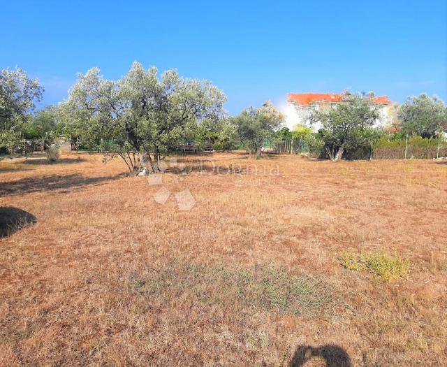 SCHÖNES LANDWIRTSCHAFTLICHES LAND MIT BLICK AUF BRJUNE