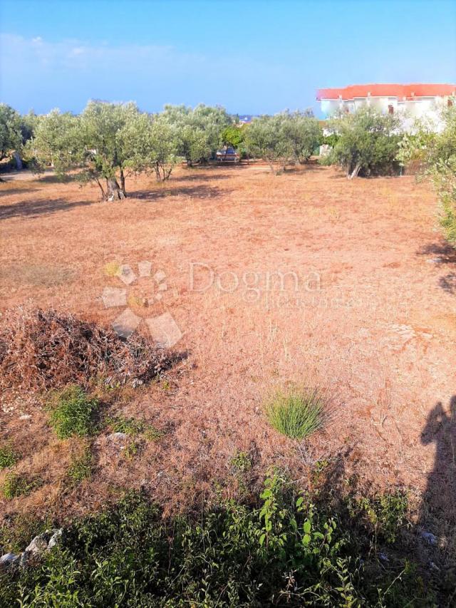 SCHÖNES LANDWIRTSCHAFTLICHES LAND MIT BLICK AUF BRJUNE