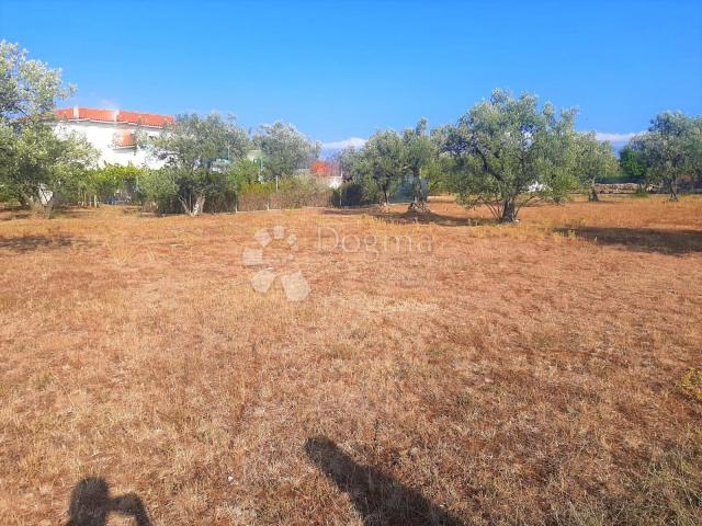 SCHÖNES LANDWIRTSCHAFTLICHES LAND MIT BLICK AUF BRJUNE