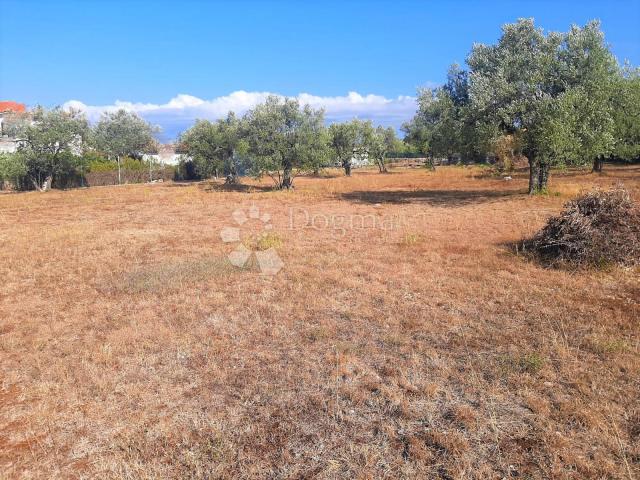 SCHÖNES LANDWIRTSCHAFTLICHES LAND MIT BLICK AUF BRJUNE