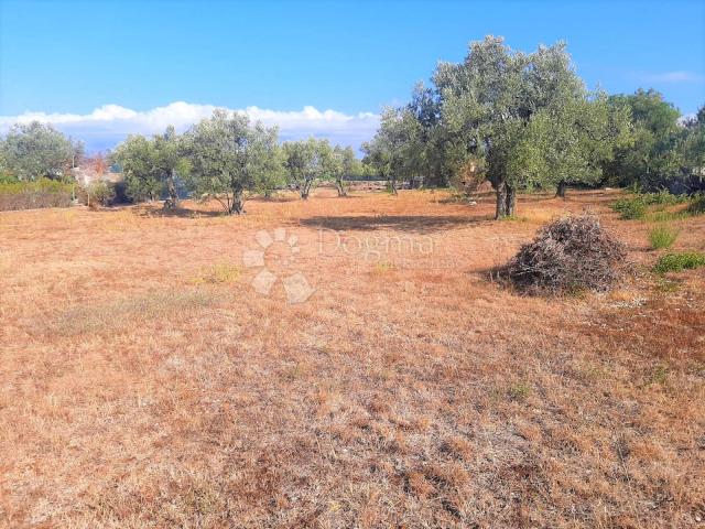 SCHÖNES LANDWIRTSCHAFTLICHES LAND MIT BLICK AUF BRJUNE