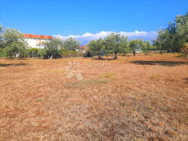 SCHÖNES LANDWIRTSCHAFTLICHES LAND MIT BLICK AUF BRJUNE