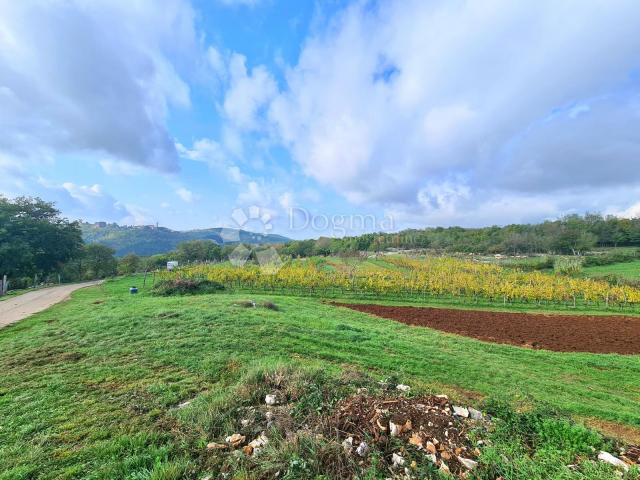 Istra, neodoljiva starina na vrhu brdašca