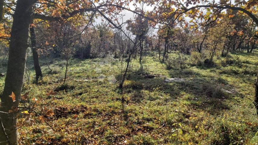 KOMBINIRANO ZEMLJIŠTE SA OTVORENIM POGLEDOM