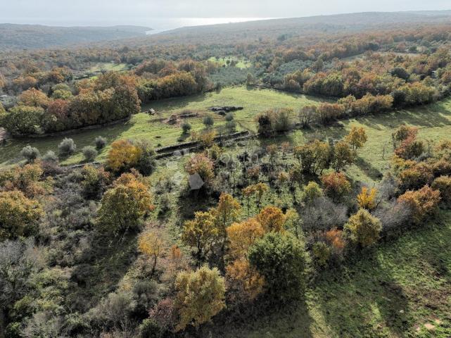 Land Marčana, 4.576m2