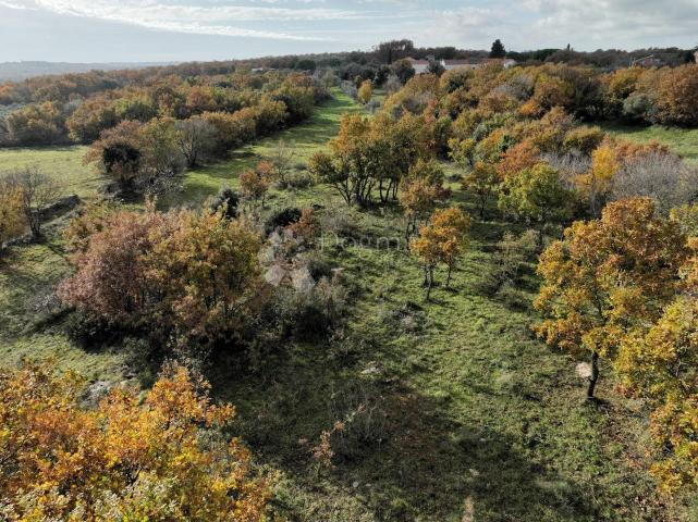 Land Marčana, 4.576m2