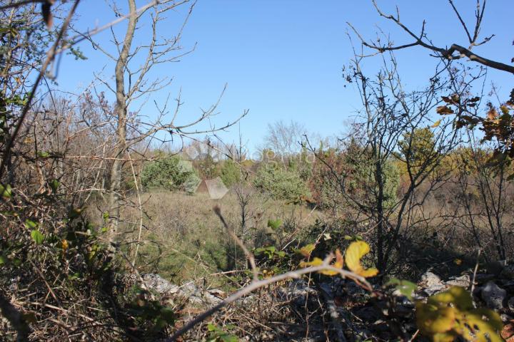 Land Filipana, Marčana, 1.597m2