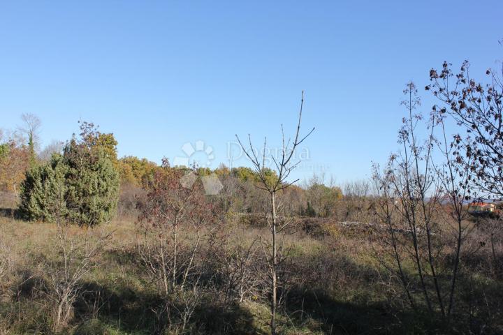 Land Filipana, Marčana, 1.597m2