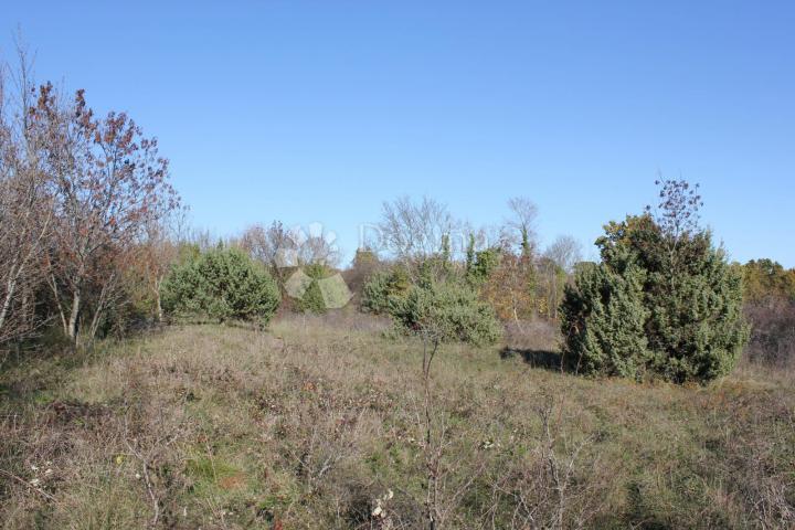 Land Filipana, Marčana, 1.597m2