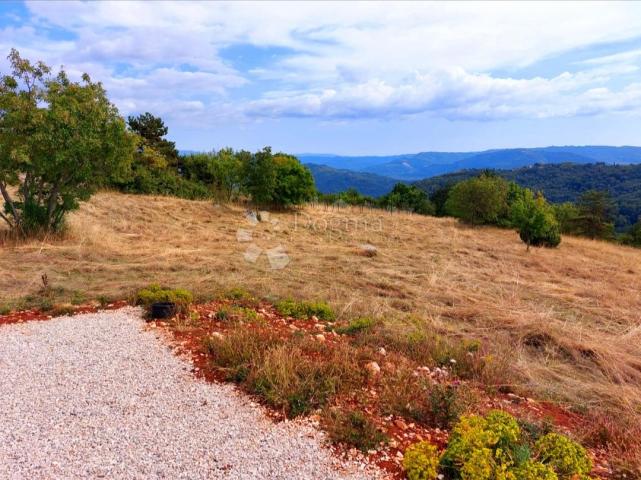 Land Sveta Lucija, Oprtalj, 12.289m2