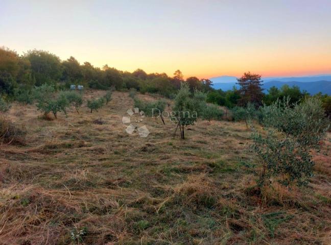 Land Sveta Lucija, Oprtalj, 12.289m2