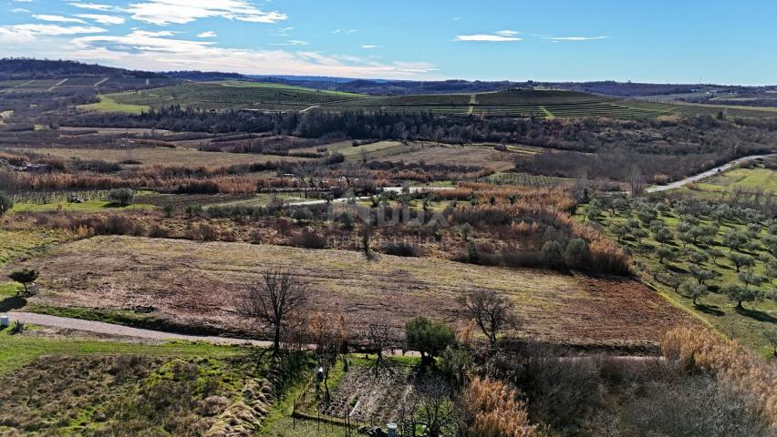 ISTRA, BUJE - Građevinsko zemljište s panoramskim pogledom