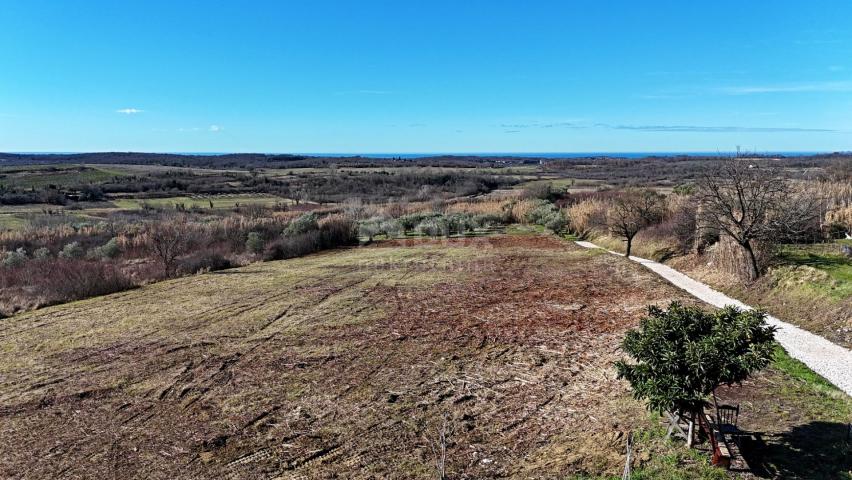 ISTRA, BUJE - Građevinsko zemljište s panoramskim pogledom