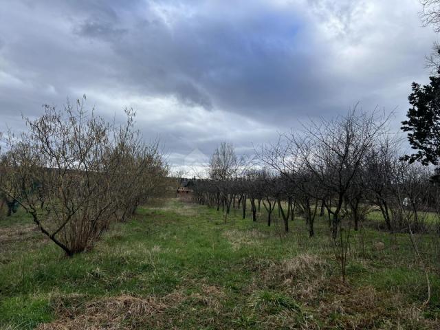 ISTRIA, KRŠAN - Spacious building plot