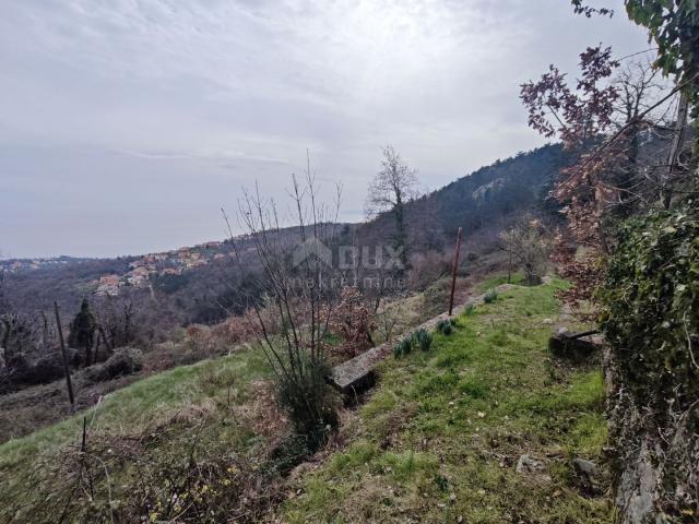 OPATIJA, POLJANE - Starina, 2 gospodarske zgrade, 5500 m2, panoramski pogled!