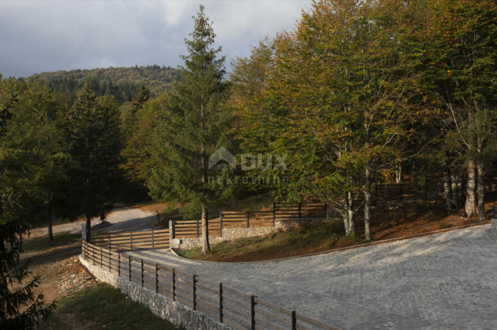 GORSKI KOTAR, RAVNA GORA - Moderna A-FRAME vila s bazenom