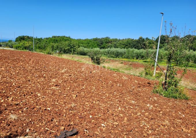 ISTRA, NOVIGRAD - Građevinsko i poljoprivredno zemljište