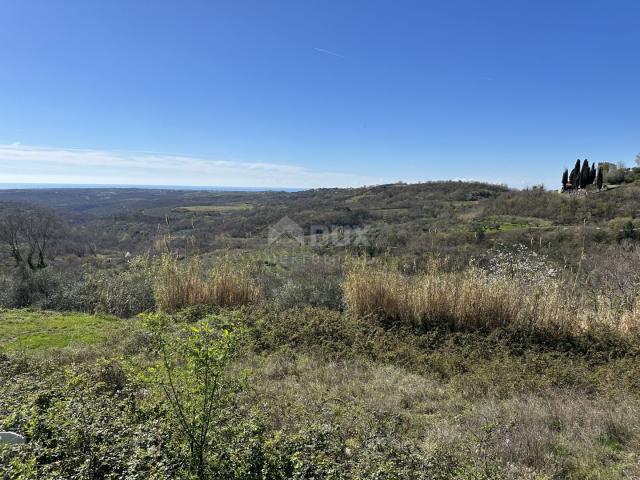 ISTRA, BUJE - Građevinsko zemljište s otvorenim pogledom na more i građevinskom dozvolom