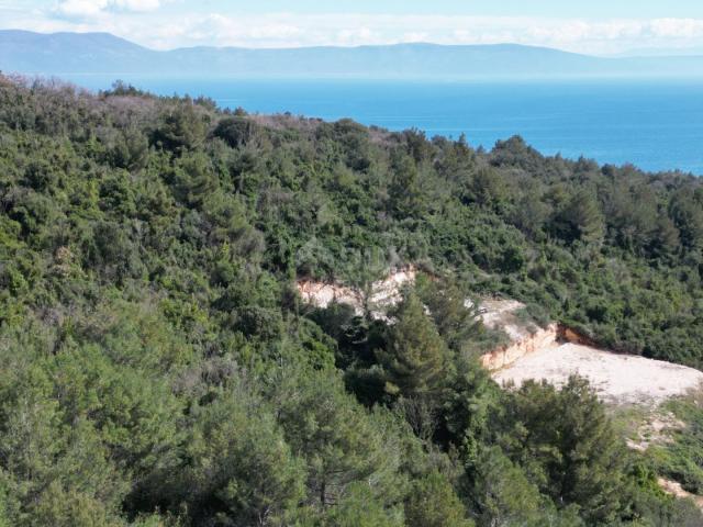 LABIN, SVETA MARINA- stara kuća s građevinskim zemljištem 935m2, pogledom na more i 2 idejna projekt