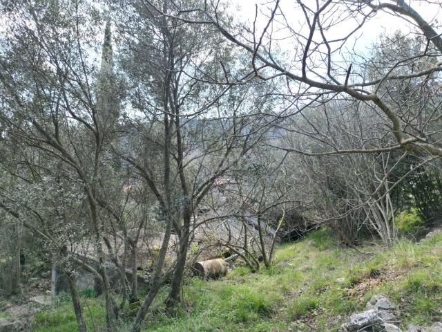 LABIN, SVETA MARINA- stara kuća s građevinskim zemljištem 935m2, pogledom na more i 2 idejna projekt