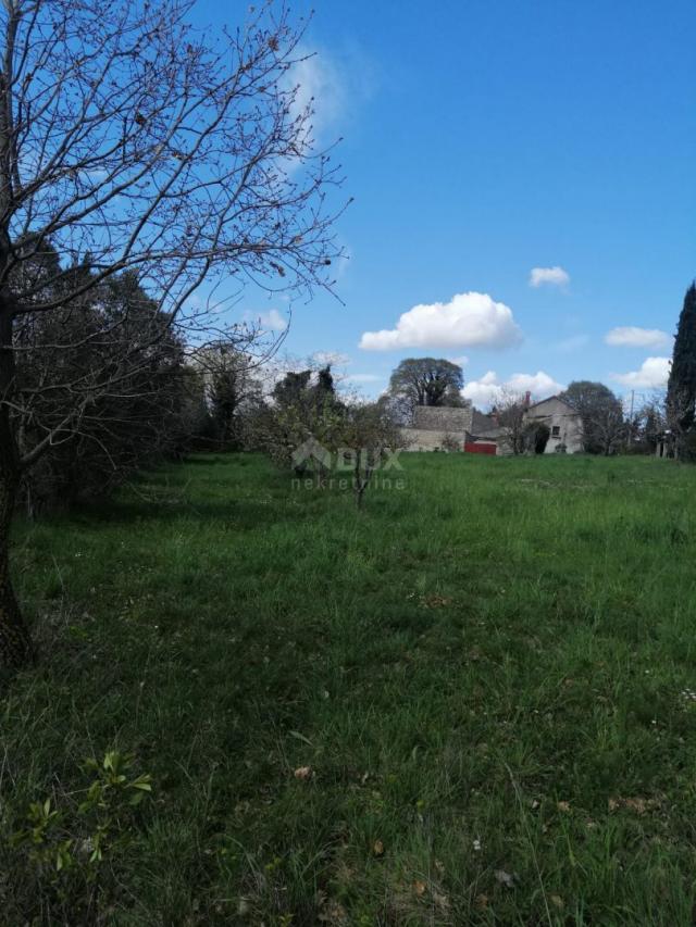 ISTRIA, ŽMINJ Property for adaptation + building plot 3200 m2