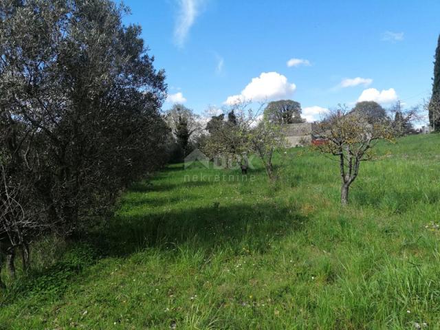 ISTRIA, ŽMINJ Property for adaptation + building plot 3200 m2