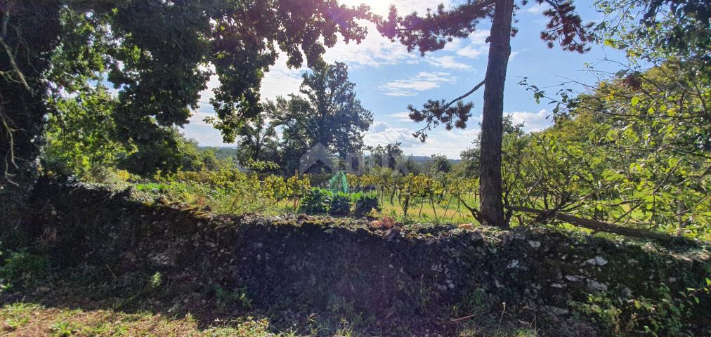 ISTRIEN, GRAČIŠĆE – Grundstückskomplex in bester Lage mit schöner Aussicht